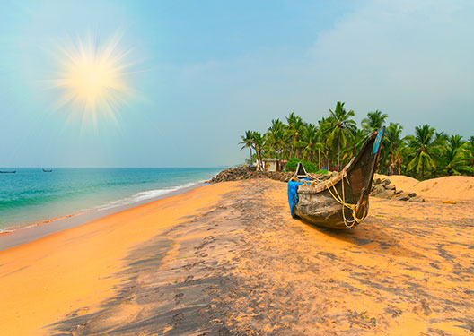 traveldilse-Tea, spices and backwater